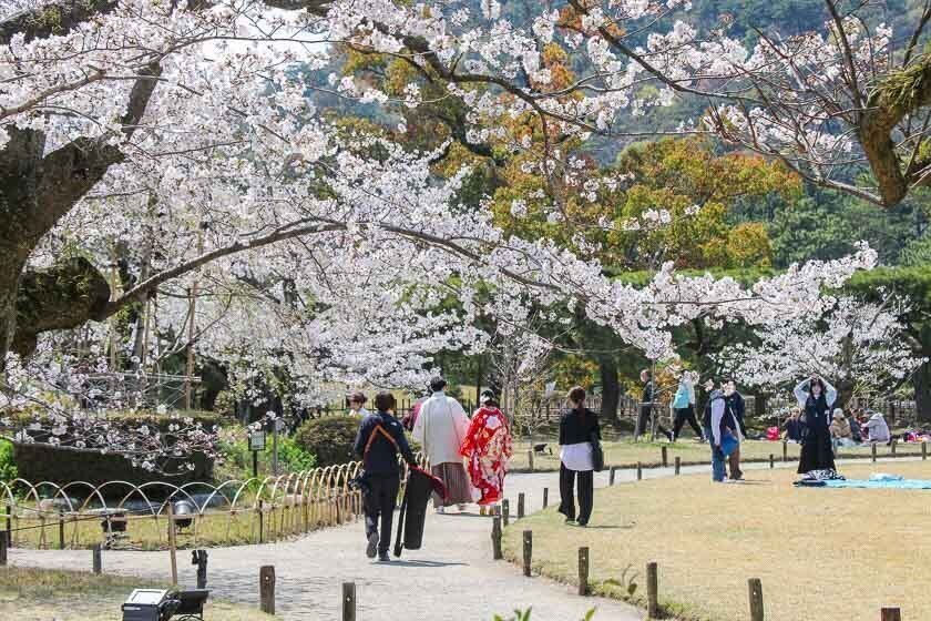 🌳 다카마쓰 시립 중앙공원(다카마쓰 시리쓰 주오 코엔) 이미지 8